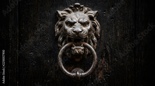 Antique brass lion head door knocker mounted on a dark wooden textured door.