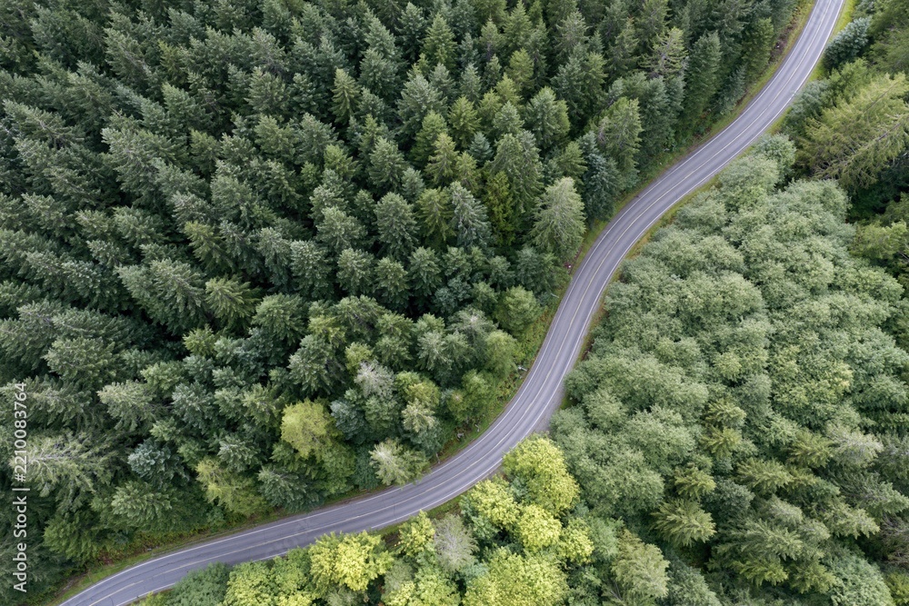 Obraz premium The Winding Road Through Dense Forest Aerial View From Above