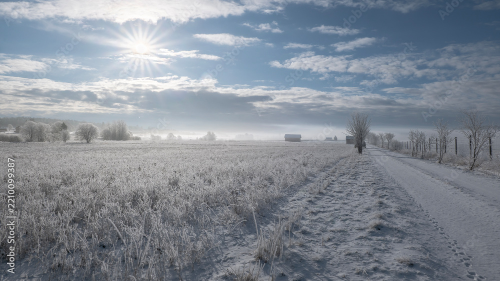 Naklejka premium Misty morning landscape iwith snow and frost