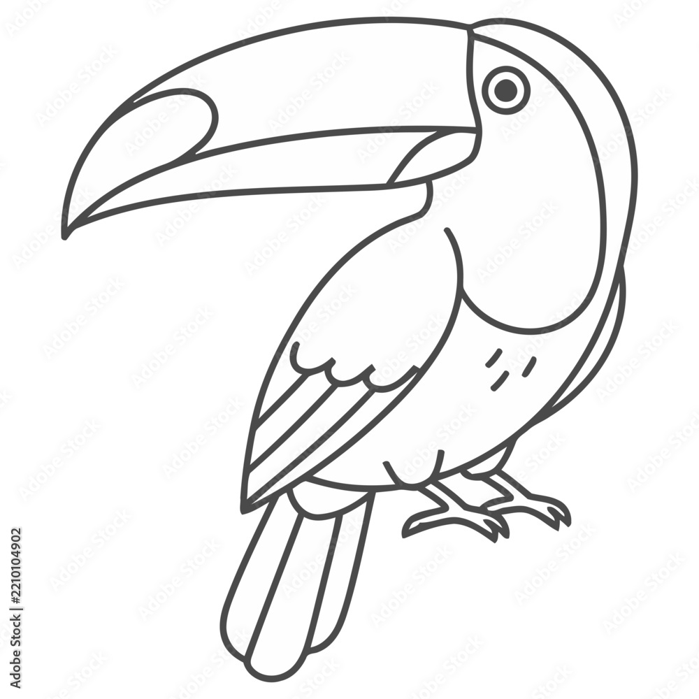 Obraz premium Toucan bird outline