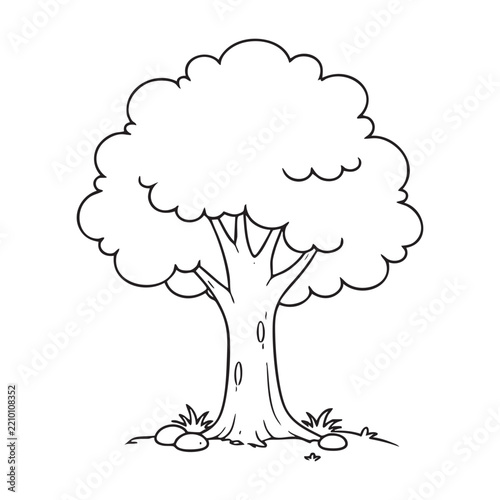Deciduous Tree with Foliage Coloring Page Vector Illustration
