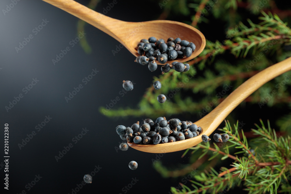 Fototapeta premium Juniper berries are sprinkled with a wooden spoon.