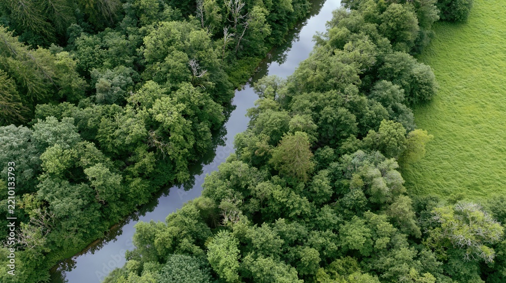 Obraz premium The Serene River Winding Through Dense Forest Canopy Aerial View