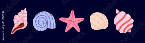 Decorative seashells and starfish set on dark background