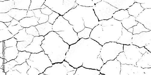 Abstract Black and White Cracked Ground Pattern With Jagged Organic Lines and Distressed Details.