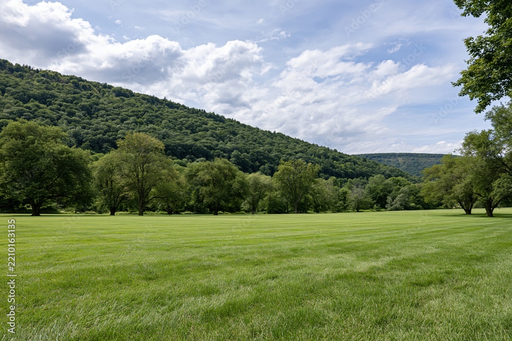 Obraz premium The Meadow in Sunlit Open Field Surrounded by Hills and Trees