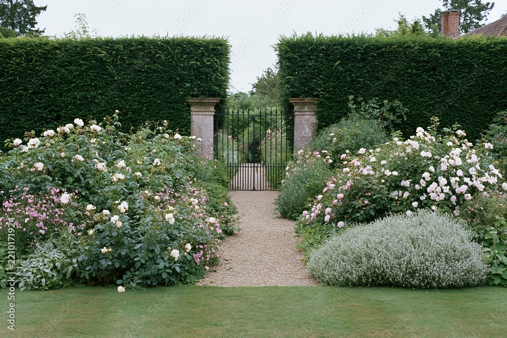 Obraz premium The Enchanting Garden Gate Framed by Rose Borders and Green Hedges