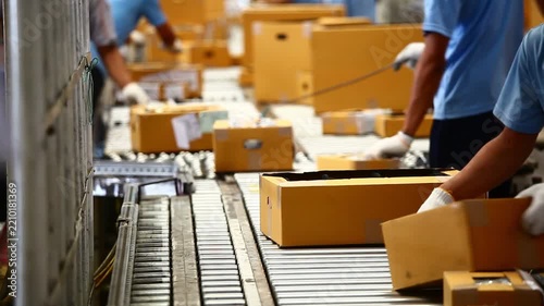 Warehouse Workers Sorting Cardboard Boxes on a Conveyor Belt in a Logistics Center