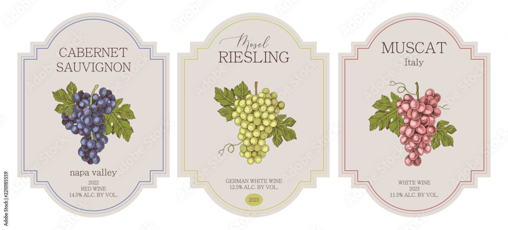 Obraz premium Wine labels with hand drawn grapes illustrations in vintage style