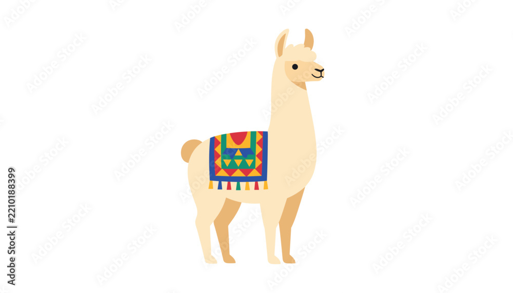 Obraz premium Fluffy white llama or alpaca wearing a traditional colorful patterned saddle isolated on a plain white background.