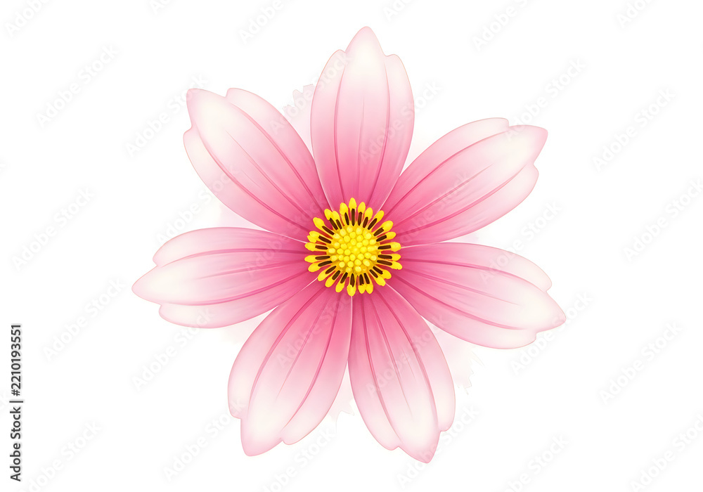 Obraz premium Pink flower with yellow center isolated