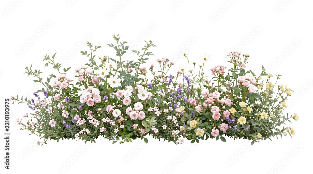 Fototapeta premium Panoramic Cottage Garden Flower Arrangement with Pink Roses and Lavender Isolated on Black Background for Elegant Floral Border and Botanical Design Projects