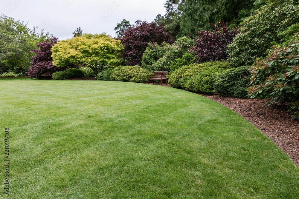 Obraz premium The Tranquil Garden Lawn with Curved Border, Shrubs, and a Wooden Bench