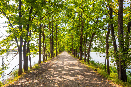 Path and lush green tree alley located on a dam between two ponds in Vrbenske ponds nature reserve, Ceske Budejovice, Czech Republic.