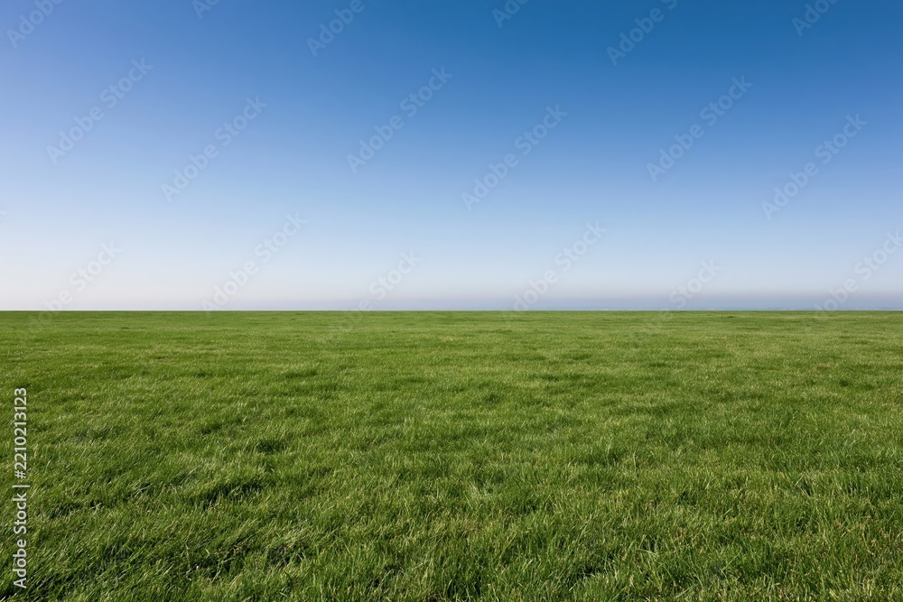 Obraz premium The Expansive Grass Field Under A Clear Blue Horizon Sky