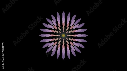 Purple and Pink Lotus Floral Kaleidoscope Mandala Animation on Black Background