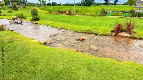 The Stream and the Small Fish