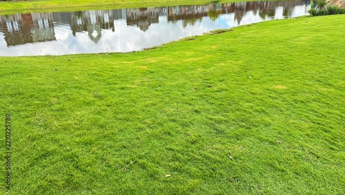The Stream and the Small Fish