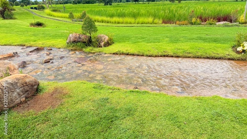 The Stream and the Small Fish