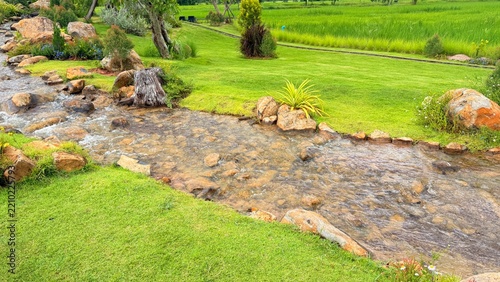 The Stream and the Small Fish
