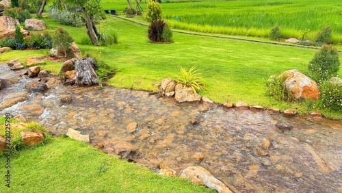 The Stream and the Small Fish