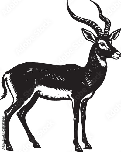 Blackbuck Antelope Linocut Block Print Illustration