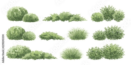 Set of green garden bushes and small shrubs for landscape design illustrations and nature scenery elements