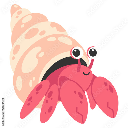 Cute Hermit Crab in Seashell Hand Drawn Illustration