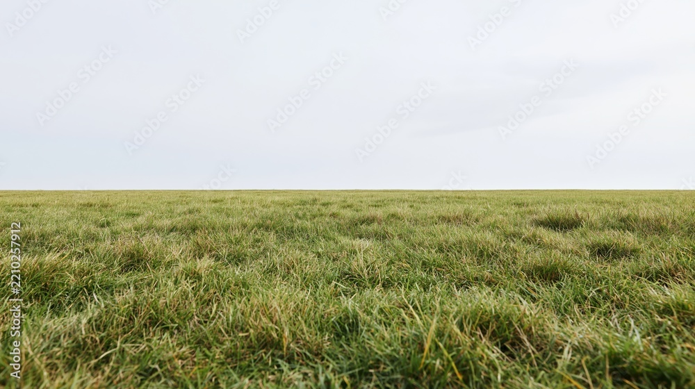 Obraz premium Wide view of a flat grass field stretching to the horizon under an overcast sky