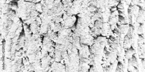 Vector black white tree bark halftone texture with organic cracks, rough grain and distressed print effect. Abstract vintage background with natural surface detail.