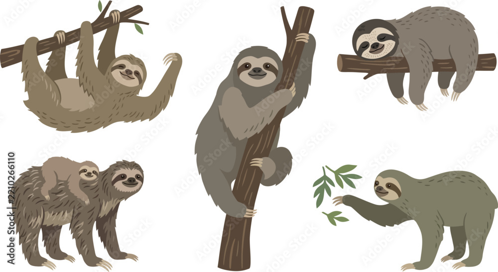 Obraz premium Diverse Sloth Poses in Natural Habitat Vector Illustration