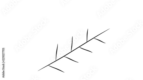Olive Branch Line Drawing