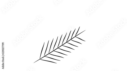 Pine Branch Line Drawing