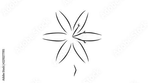 Lily Flower Line Art
