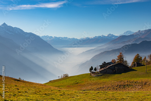 Vibrant golden larch forest and autumn foliage in Col de Joux pass, Aosta Valley, Italy