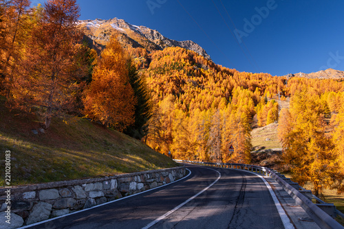 Winding mountain road passing through a dense forest with vibrant yellow and orange fall foliage during autumn season