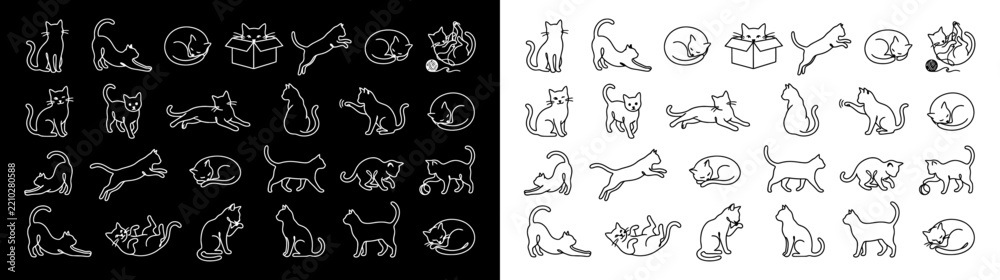 Fototapeta premium Black Cats Playing with Cardboard Boxes and Plastic Shopping Bags Vector