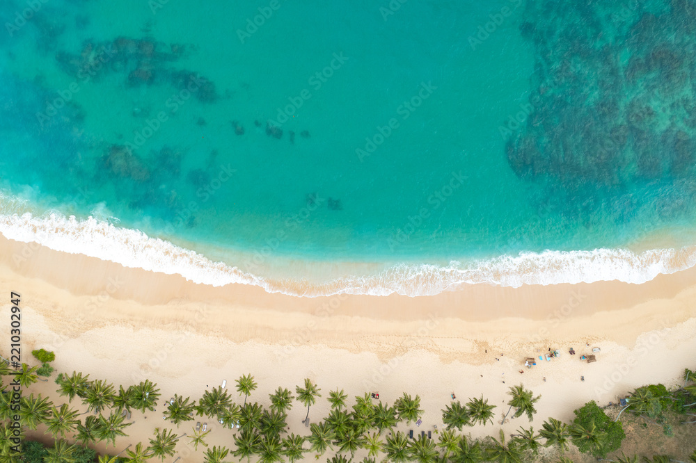 Fototapeta premium Turquoise Ocean and Sandy Beach with Palm Trees Top View