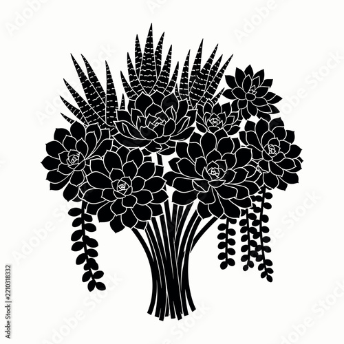 Succulent arrangement silhouette against a white background showcases botanical detail