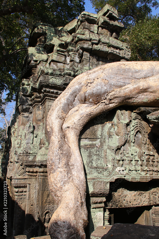 Fototapeta premium ruined khmer hindu and buddhist temple (ta prohm) in angkor in siem reap in cambodia 