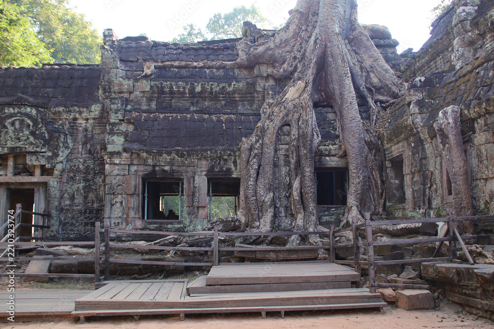 Fototapeta premium ruined khmer hindu and buddhist temple (ta prohm) in angkor in siem reap in cambodia 