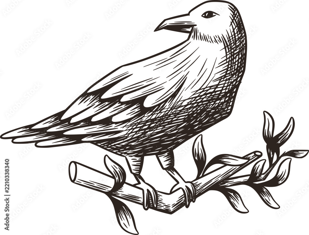 Fototapeta premium Raven Perched Branch