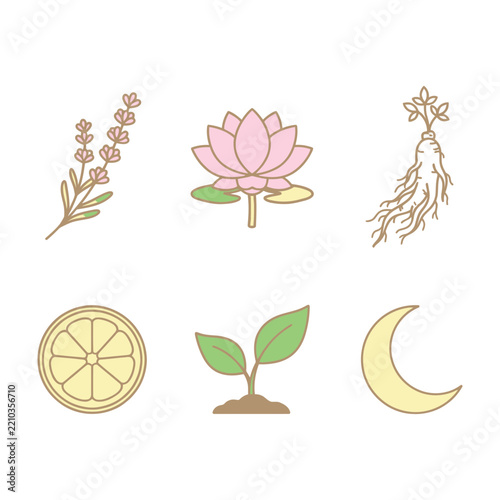 Herbal Botanical Icons Set: Lotus, Ginseng, Lemon, Sprout, and Crescent Moon Design