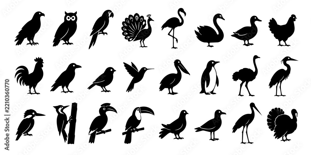 Obraz premium Bird species black silhouette collection