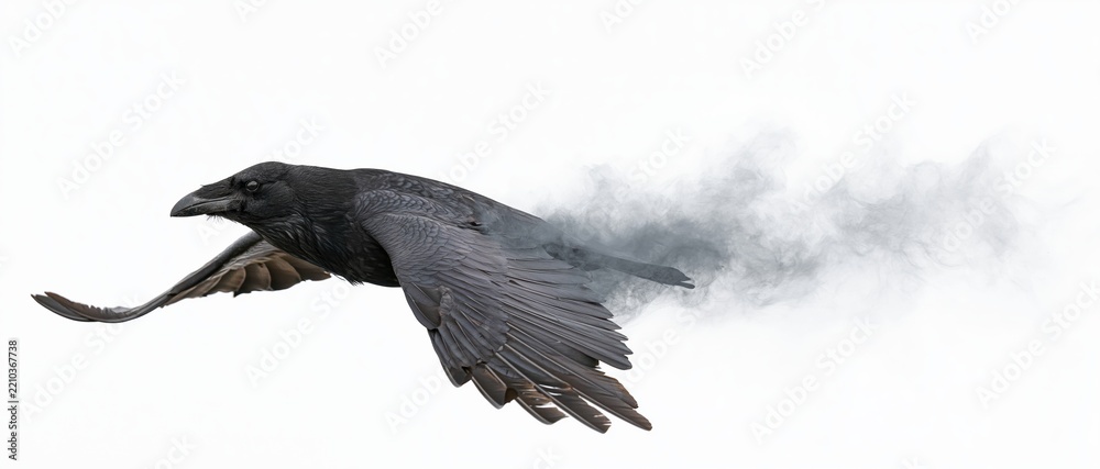 Fototapeta premium Black raven in mid-flight with wings spread, body dissolving into smoke against white background