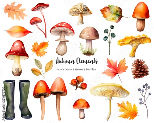 Autumn Elements Set