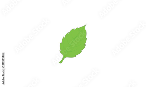 Green leave vector