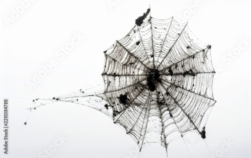 Dirty spiderweb isolated on a white background.