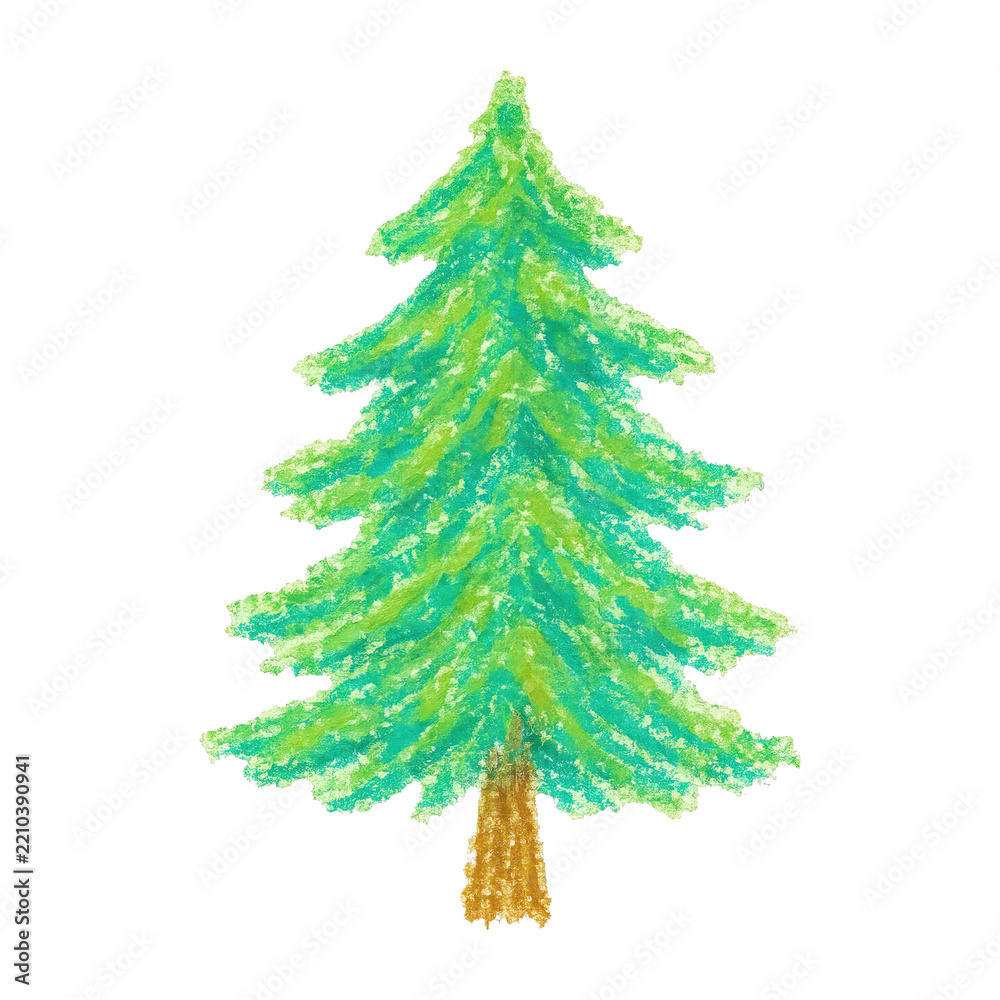 Obraz premium PNG Crayon-drawn evergreen tree illustration.
