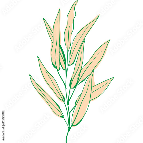 Minimalist hand drawn green leaf branch illustration for natural organic design